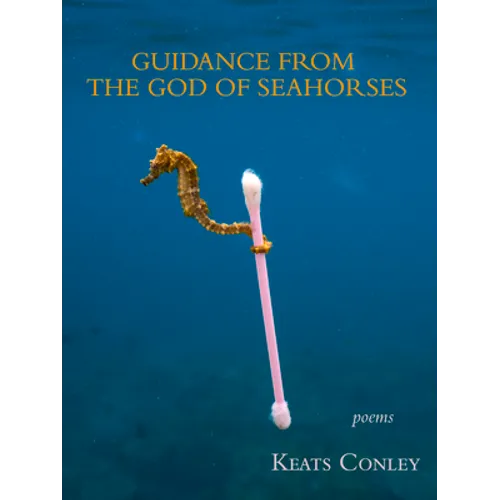 Guidance from the God of Seahorses - Paperback