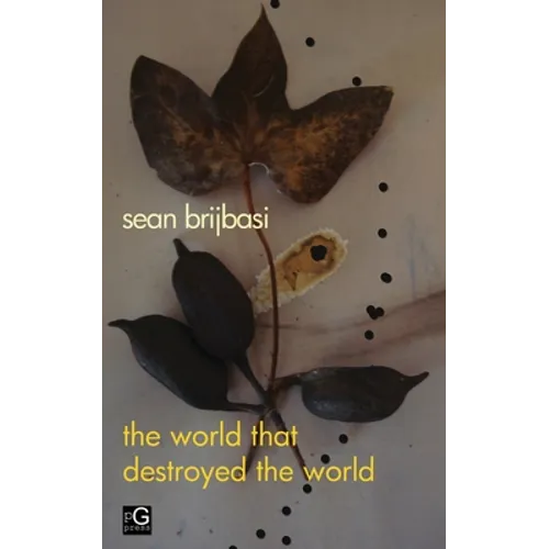 The world that destroyed the world: a poem