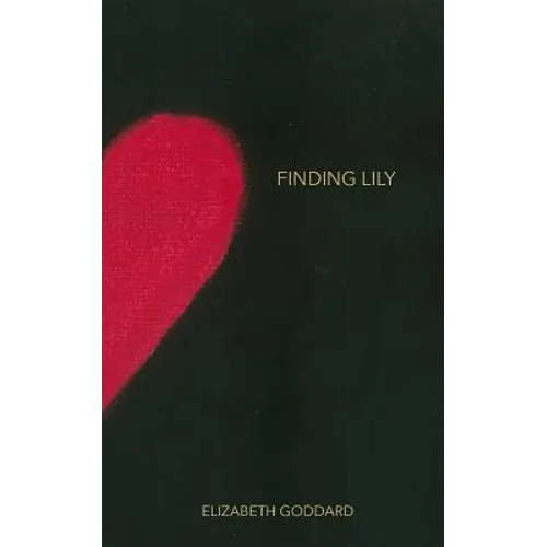 Finding Lily - Paperback