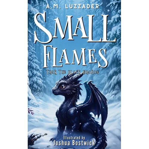 Small Flames: Trak the Black Dragon - Paperback