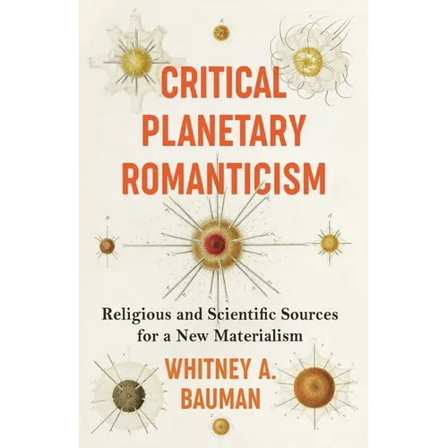 Critical Planetary Romanticism: Religious and Scientific Sources for a New Materialism - Paperback
