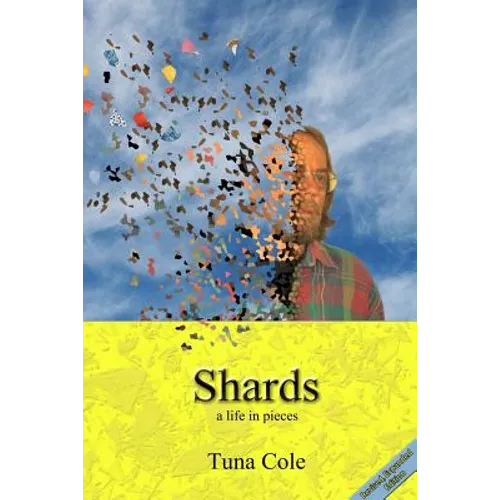 Shards a life in pieces - Paperback