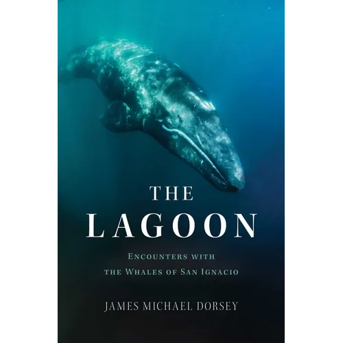 The Lagoon: Encounters with the Whales of San Ignacio - Hardcover