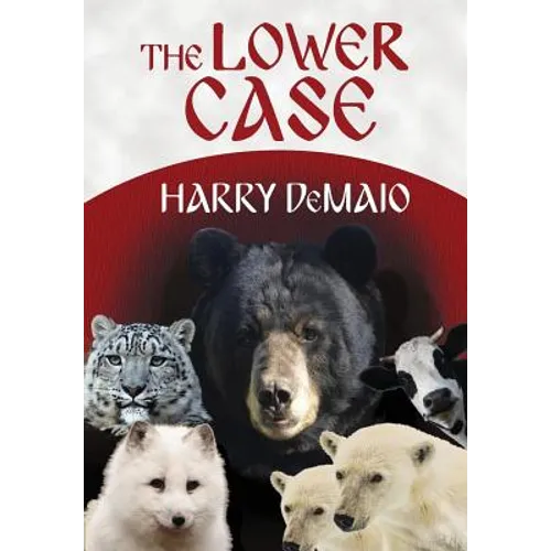 The Lower Case (Octavius Bear Book 4) - Paperback