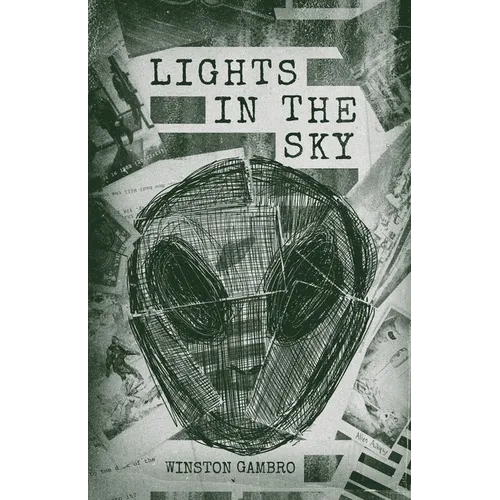 Lights in the Sky - Paperback