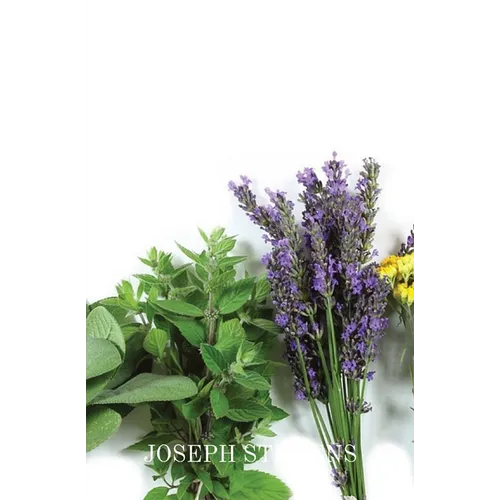 Alternative Medicines - Paperback