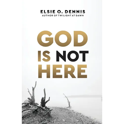 God is Not Here - Paperback