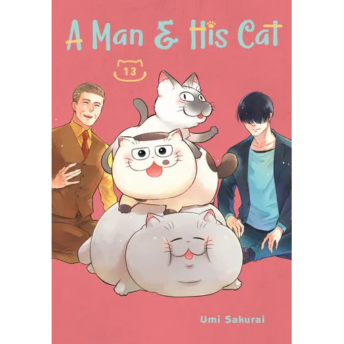A Man and His Cat 13 - Paperback