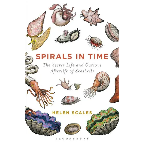 Spirals in Time: The Secret Life and Curious Afterlife of Seashells - Paperback