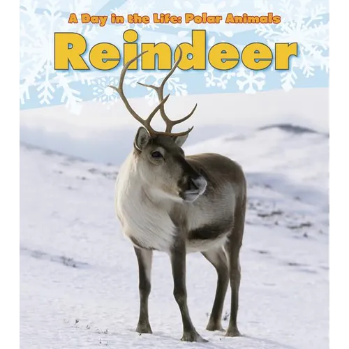 Reindeer - Paperback