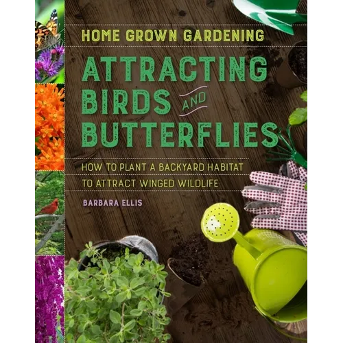 Attracting Birds and Butterflies