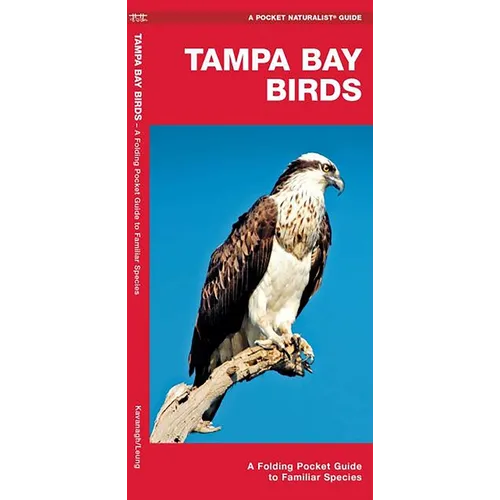 Tampa Bay Birds: A Folding Pocket Guide to Familiar Species - Hardcover