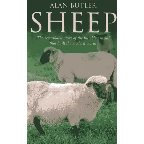 Sheep - Paperback