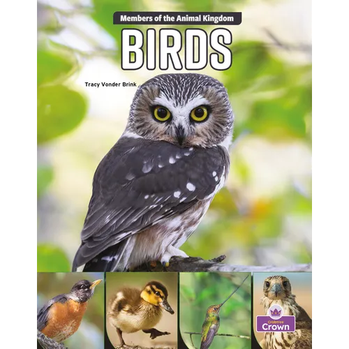 Birds - Paperback