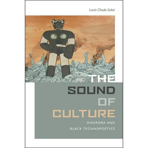 The Sound of Culture: Diaspora and Black Technopoetics - Paperback