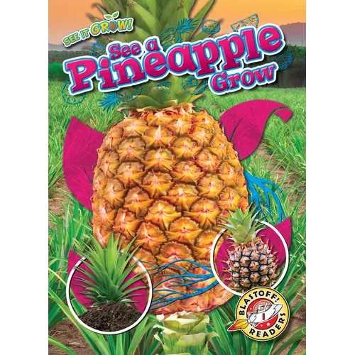 See a Pineapple Grow