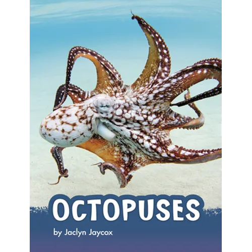 Octopuses - Hardcover