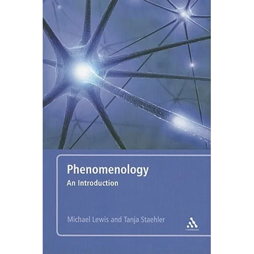 Phenomenology - Paperback