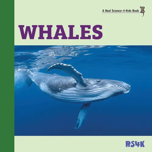 Whales - Paperback