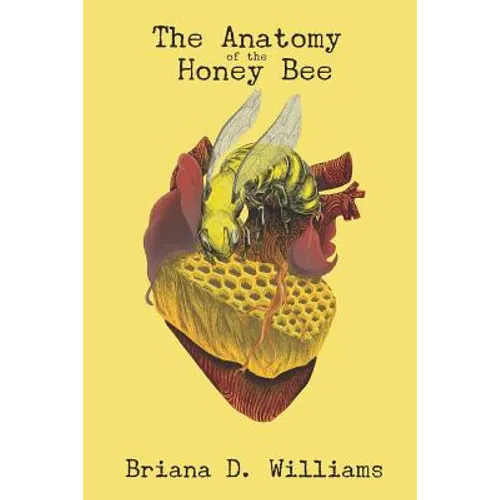 The Anatomy of the Honey Bee - Paperback