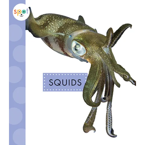 Squids - Paperback