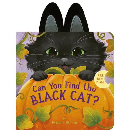 Can You Find the Black Cat?: With Flaps to Lift! - Board Book