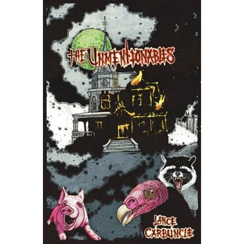 The Unmentionables - Paperback