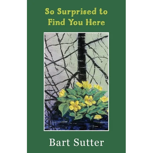So Surprised to Find You Here: Poems - Paperback