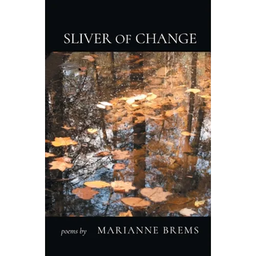 Sliver of Change