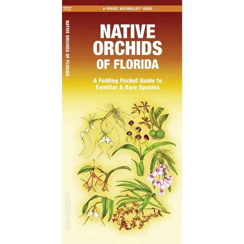 Native Orchids of Florida: A Folding Pocket Guide to Familiar and Rare Species