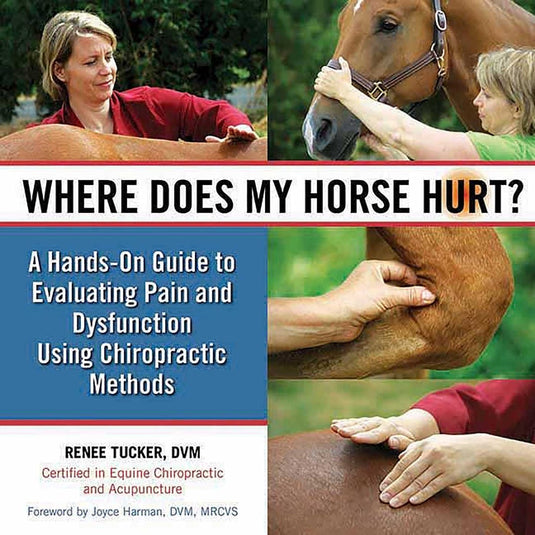 Where Does My Horse Hurt?: A Hands-On Guide to Evaluating Pain and Dysfunction Using Chiropractic Methods - Spiral