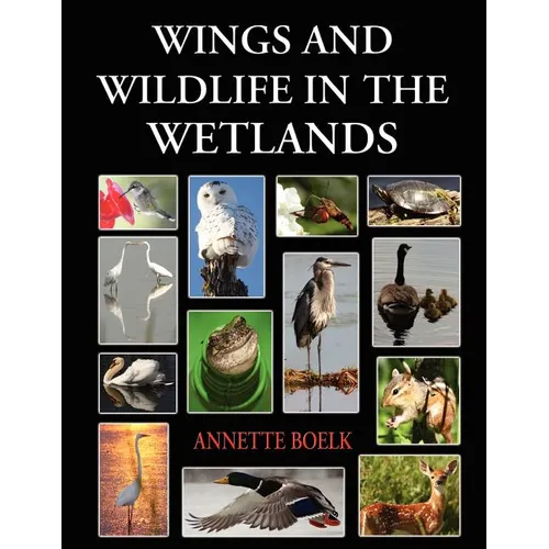 Wings and Wildlife in the Wetlands - Paperback