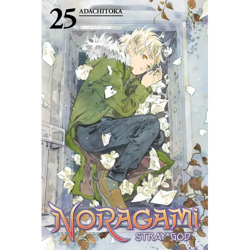 Noragami: Stray God 25 - Paperback