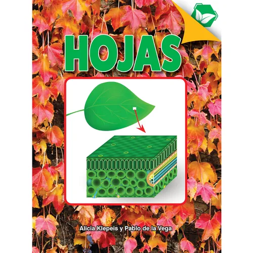 Hojas: Leaves - Hardcover