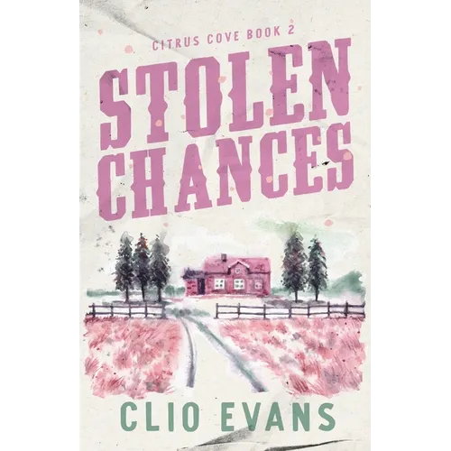 Stolen Chances: A Single Mom, MMF, Small Town Romance Suspense - Paperback