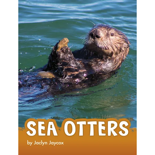 Sea Otters - Hardcover