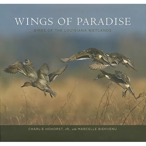 Wings of Paradise: Birds of the Louisiana Wetlands