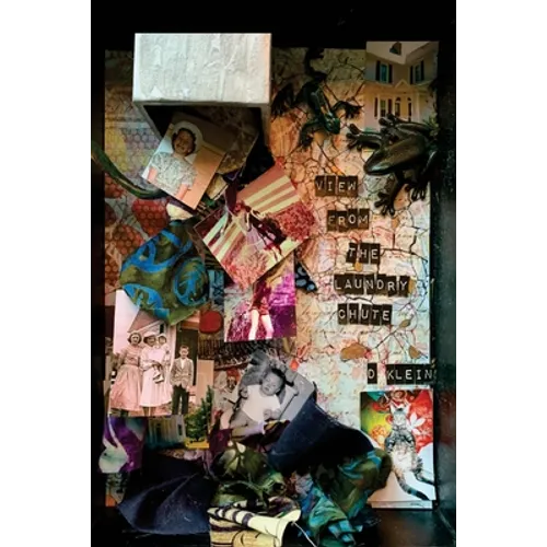 View from the Laundry Chute - Paperback