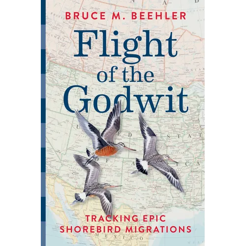 Flight of the Godwit: Tracking Epic Shorebird Migrations - Hardcover