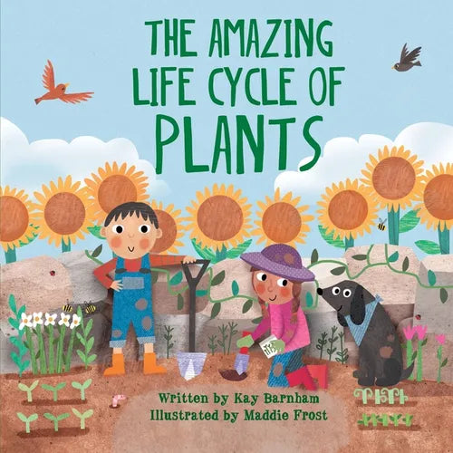 The Amazing Life Cycle of Plants