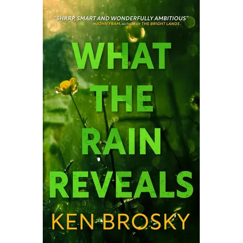 What the Rain Reveals - Paperback