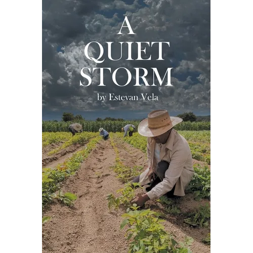 A Quiet Storm - Paperback