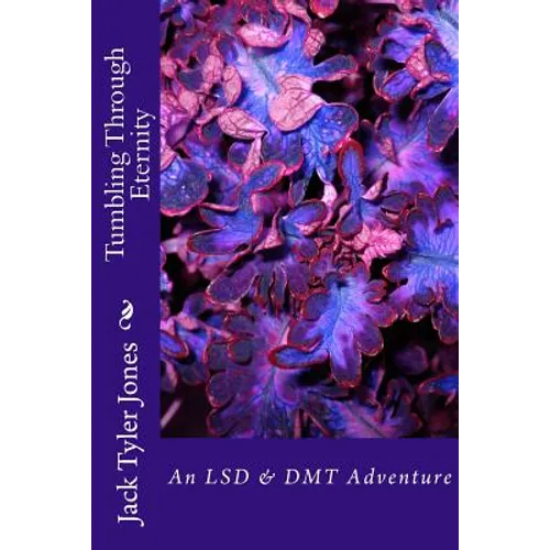 Tumbling Through Eternity: An LSD & DMT Adventure - Paperback