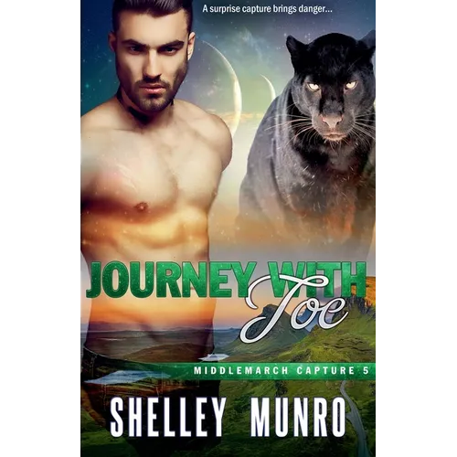 Journey With Joe - Paperback
