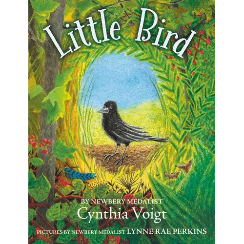 Little Bird - Paperback