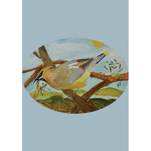 The Stone Soup Sketchbook (small): Sierra Glassman - Cedar Waxwing - unlined - Paperback
