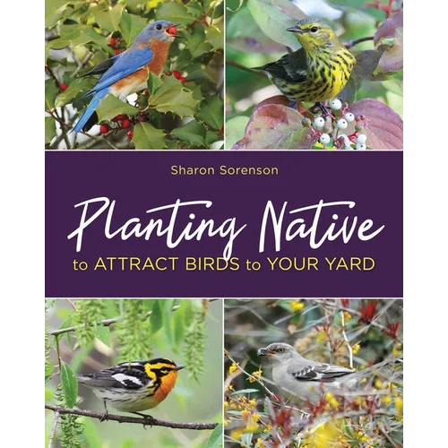 Planting Native to Attract Birds to Your Yard