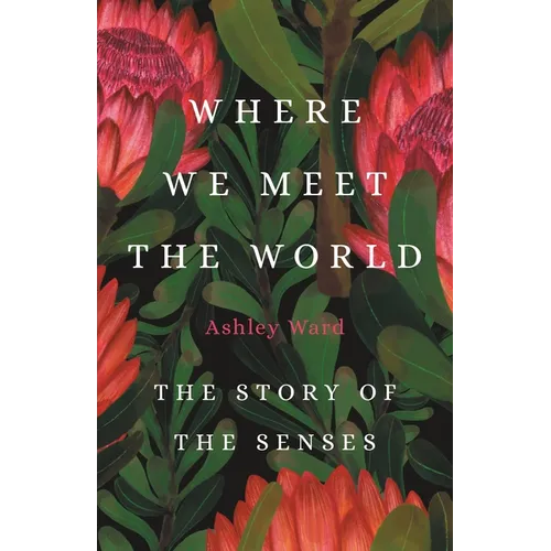 Where We Meet the World: The Story of the Senses - Hardcover