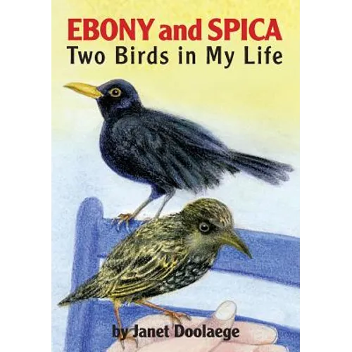 Ebony and Spica: Two Birds in My Life - Paperback