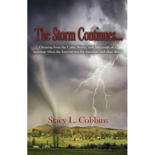 The Storm Continues...: Gleaning from the Calm, Storm, and Aftermath of a marriage when the forecast was for sunshine and clear skies! - Paperback